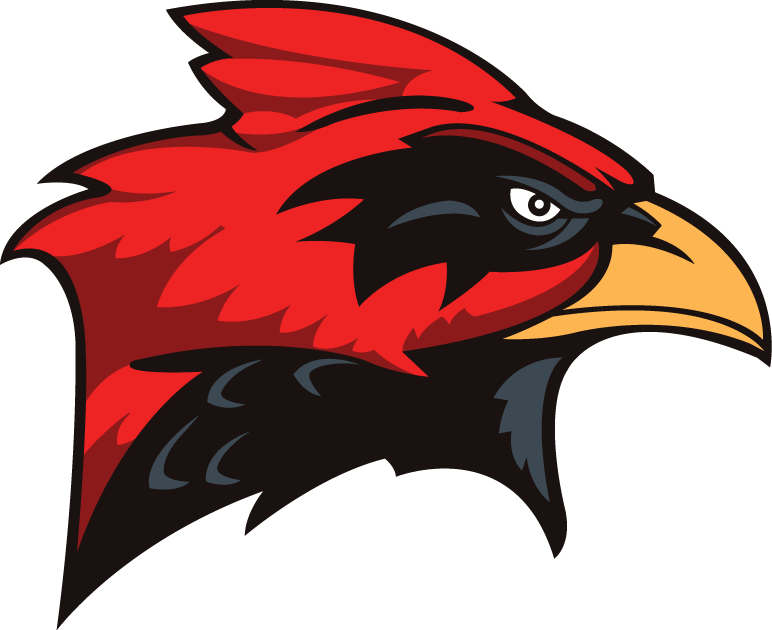 Incarnate Word Cardinals 1998-2010 Secondary Logo DIY iron on transfer (heat transfer)
